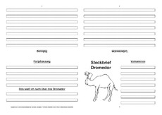 Dromedar-Faltbuch-vierseitig-2.pdf